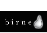 logo-birne